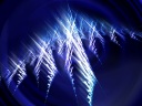 Blue wings which look beautiful in darkness