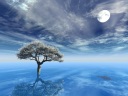The cherry tree of the origin which is surrounded by primitive empty and sea and makes a flower bloom
