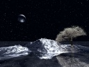 The cherry tree which is compared with the moon of crystal and blooms for crystal