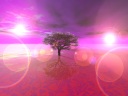 Cherry tree which blooms in an alien world ....
