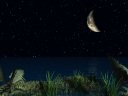 The moon which is quietly, however forcibly useful with future