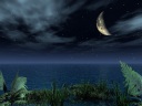 The moon which sleeps on the lake which a wind gentle to blows