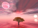 Red is made more conspicuous although the cherry tree of the alien world is resembled.