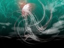 Passionate thought is made to grow in the crimson-moon to dance at moderate night.