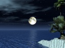 The tree of the moon which looks beautiful in the sea, and Nankoku located on sands