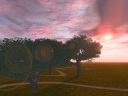 Three trees and the setting sun which sinks in a horizon.It is a lonely spectacle in somewhere.